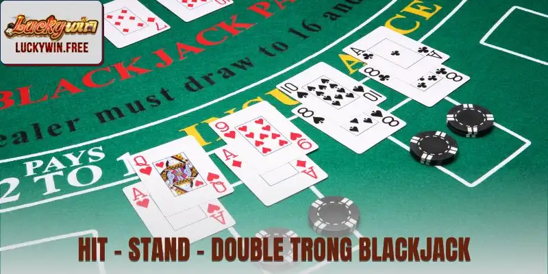 Hit, Stand, Double - Các thao tác cơ bản trong phiên bản online