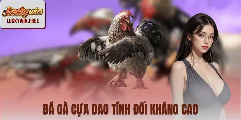 Tổng quan đá gà cựa dao với hình thức thi đấu và luật chơi