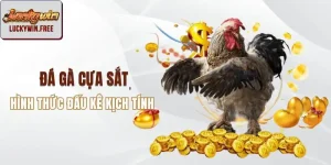 Đá gà cựa sắt