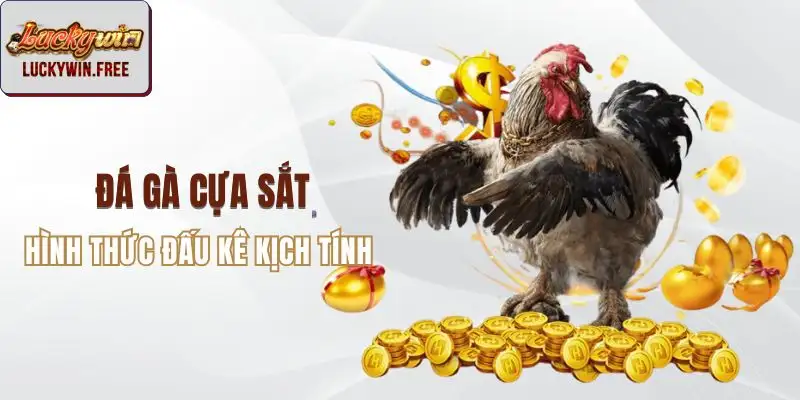 Đá gà cựa sắt