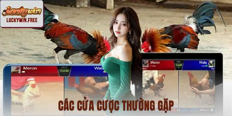 Nhiều kèo cược khác nhau để lựa chọn