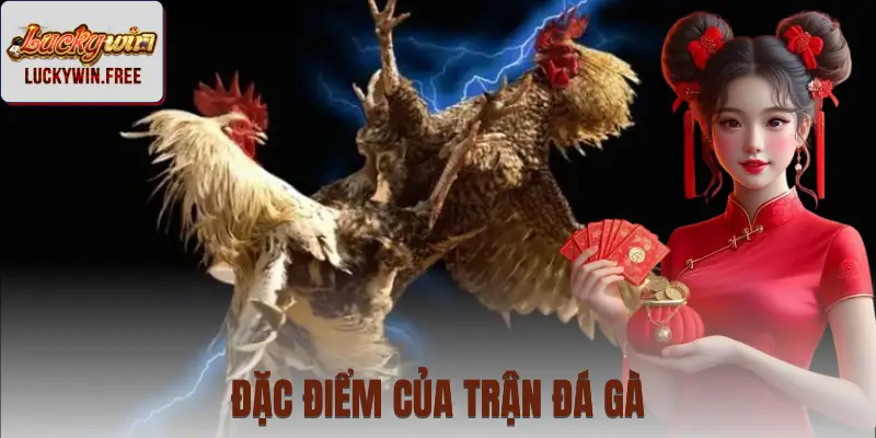 Đặc điểm về kỹ thuật trong đá gà đòn