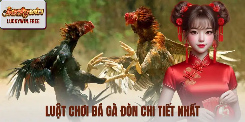 Nguyên tắc tham gia thi đấu một trận gà đòn