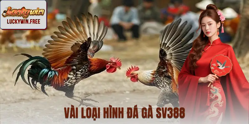 Vài loại hình chơi đá gà tại sảnh cược