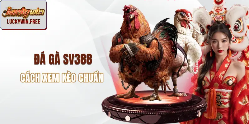 Đá gà sv388