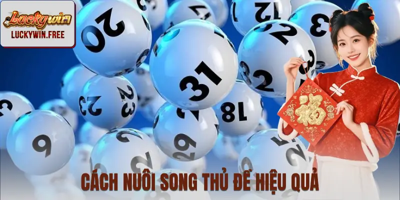 Những cách nuôi song thủ đề miền Bắc cơ bản nhất